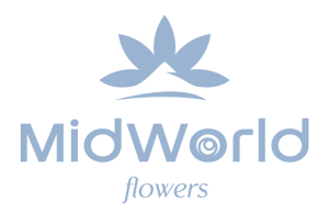 midworld