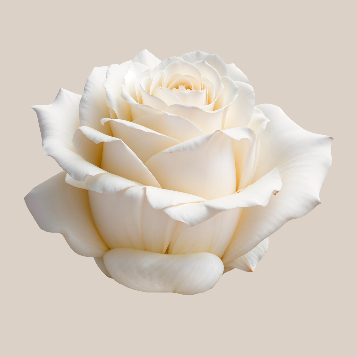 Easter Blanca