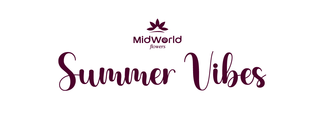 artes graficas midworld